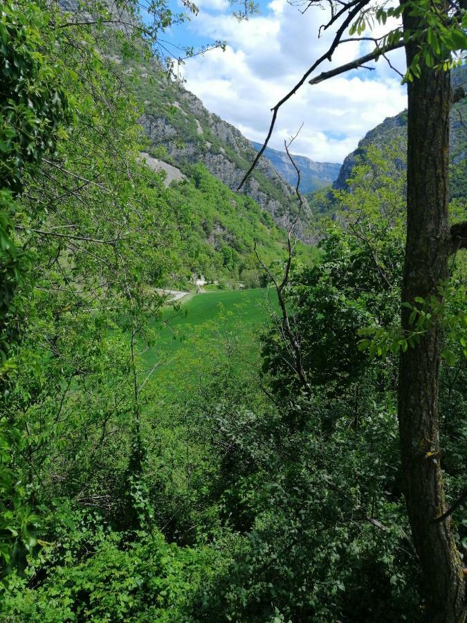 La Grande Chambre Saint-Jean-en-Royans Eksteriør billede